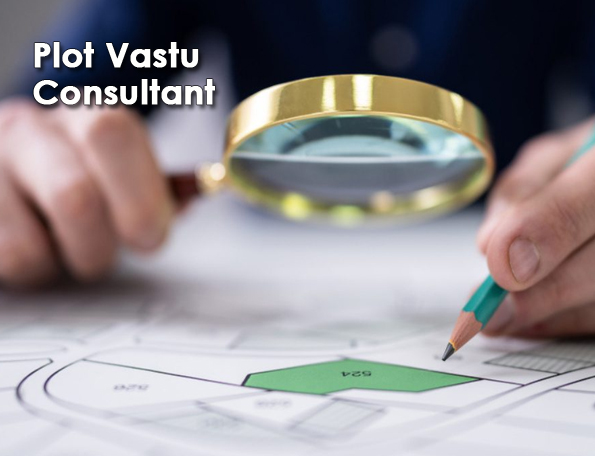 vastu expert for home in delhi